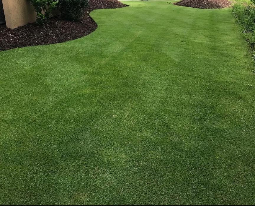 Elite Total Landscaping - Longs, SC