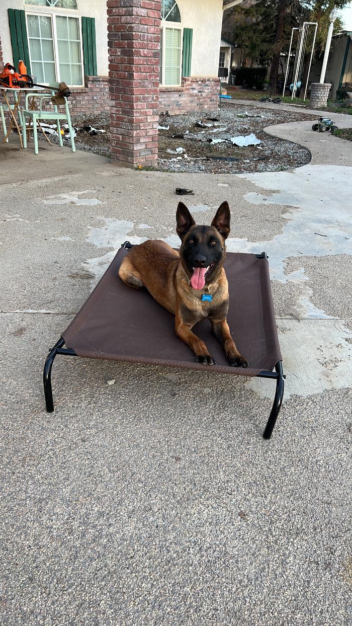 Small Town Board N Train - Laton, CA