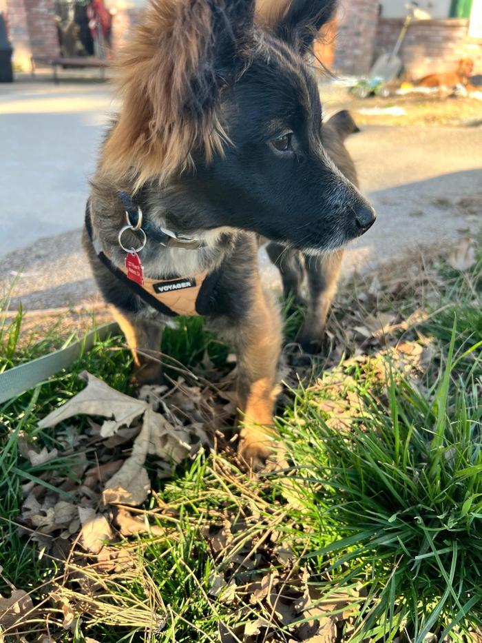 Small Town Board N Train - Laton, CA