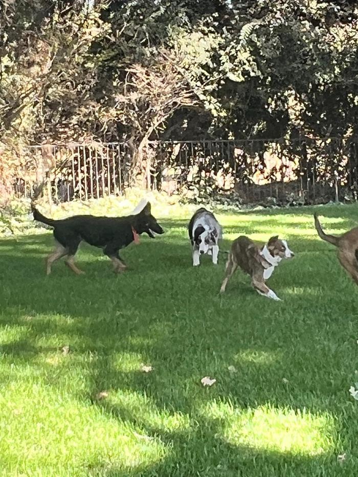 Small Town Board N Train - Laton, CA