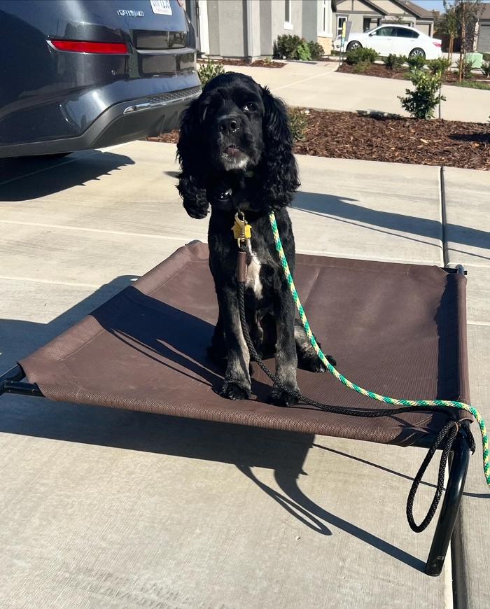 Small Town Board N Train - Laton, CA