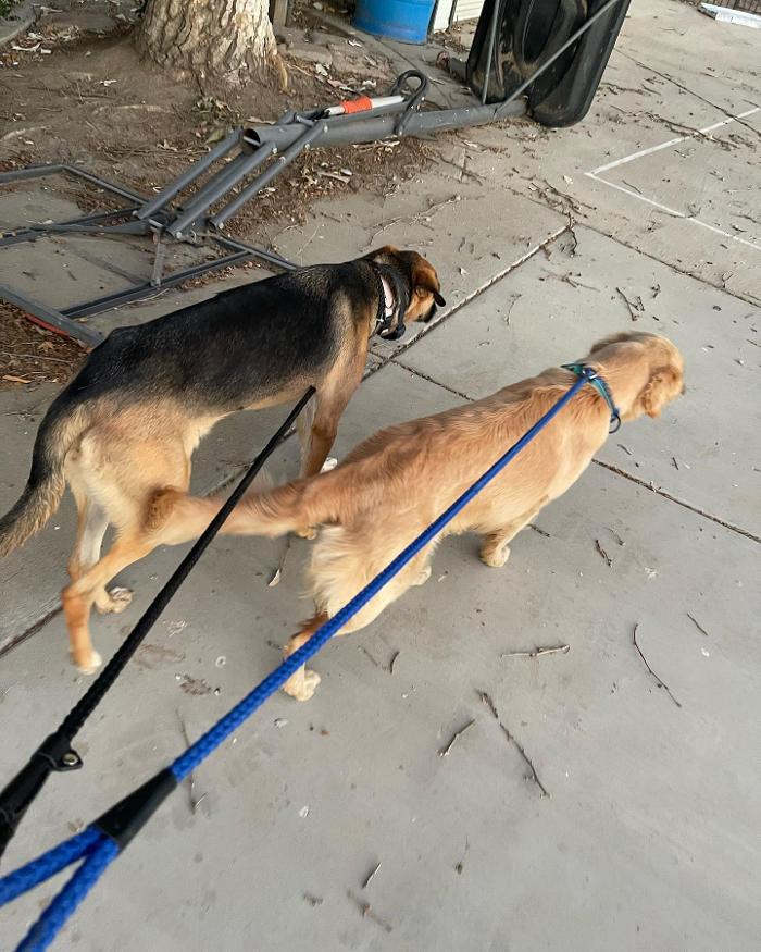 Small Town Board N Train - Laton, CA