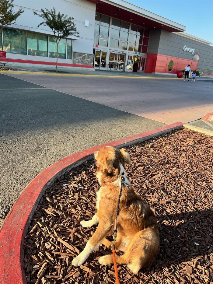 Small Town Board N Train - Laton, CA