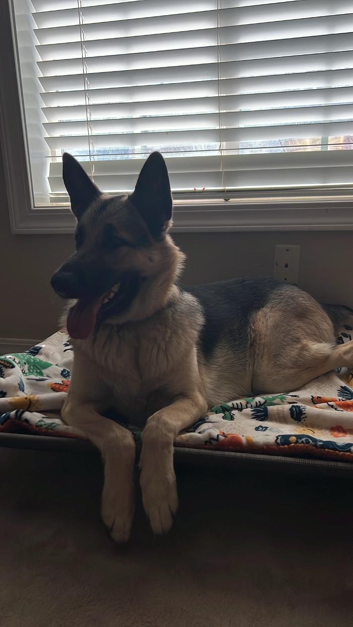 Small Town Board N Train - Laton, CA