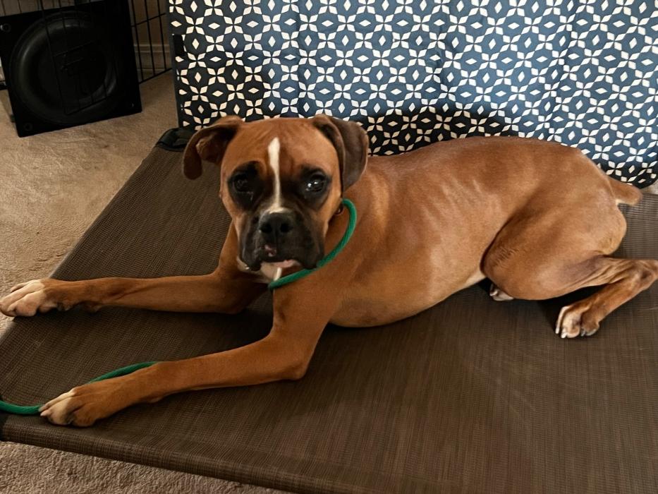 Small Town Board N Train - Laton, CA