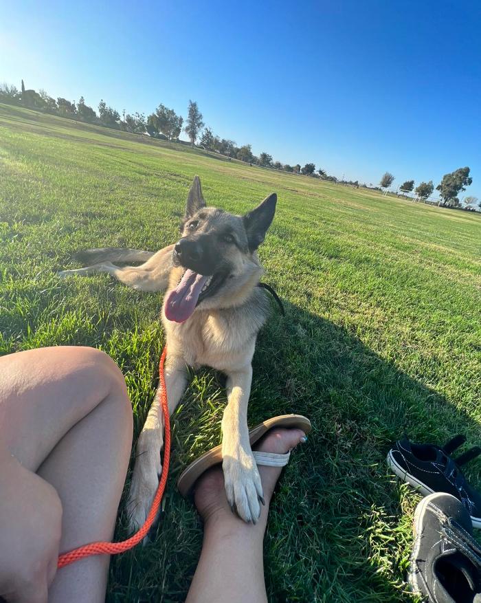 Small Town Board N Train - Laton, CA