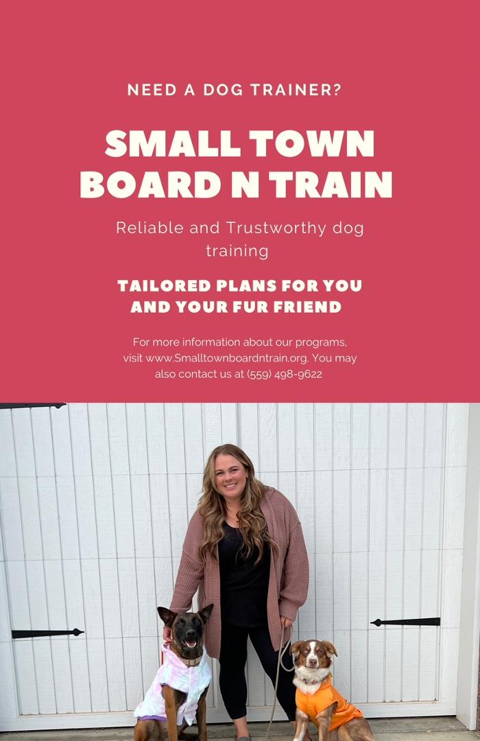 Small Town Board N Train - Laton, CA