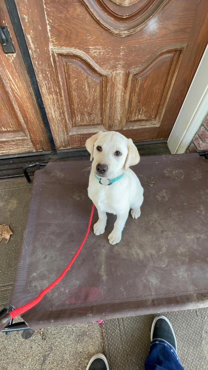 Small Town Board N Train - Laton, CA