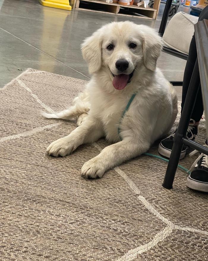 Small Town Board N Train - Laton, CA