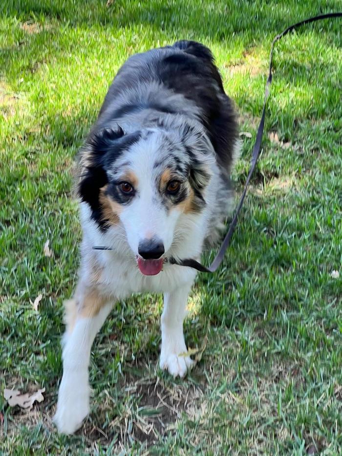 Small Town Board N Train - Laton, CA