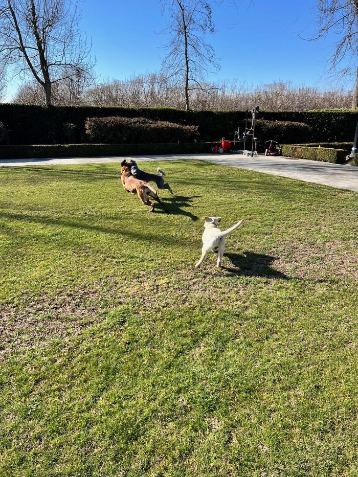 Small Town Board N Train - Laton, CA