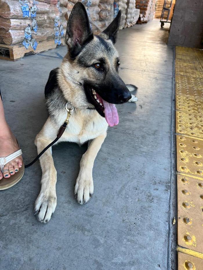 Small Town Board N Train - Laton, CA