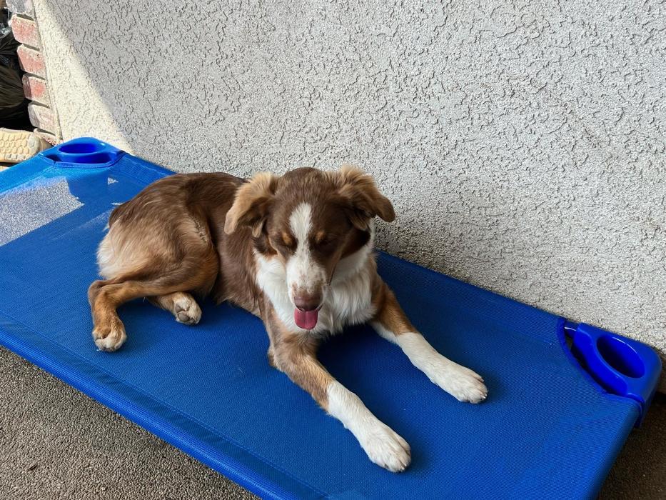 Small Town Board N Train - Laton, CA