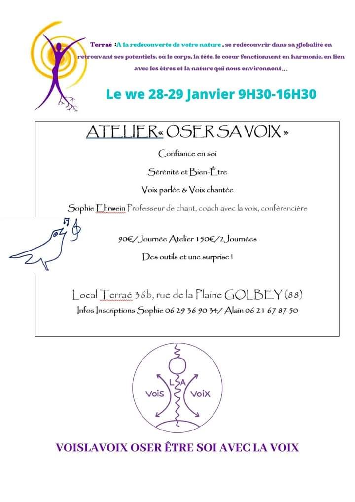 galerie image