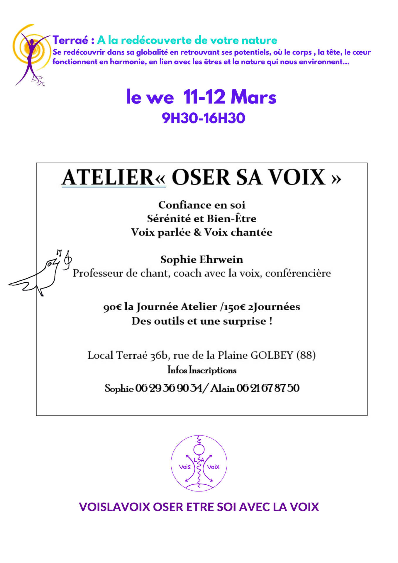 galerie image