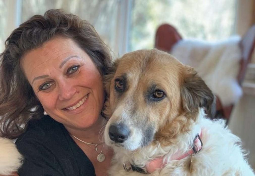 Ferienhäuser Gerhart GmbH, Junghannsstraße in Haus