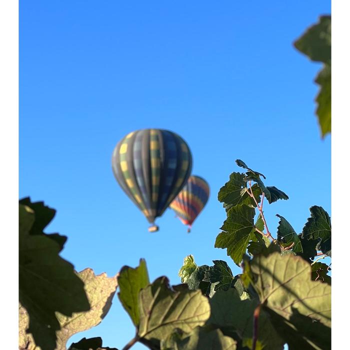 Uncorked Tours - Temecula, CA
