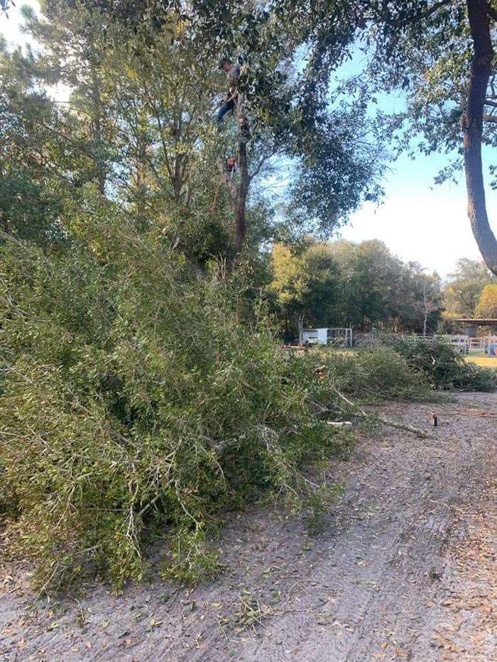 Zack's Quality Lawn And Tree Services, LLC - Titusville, FL