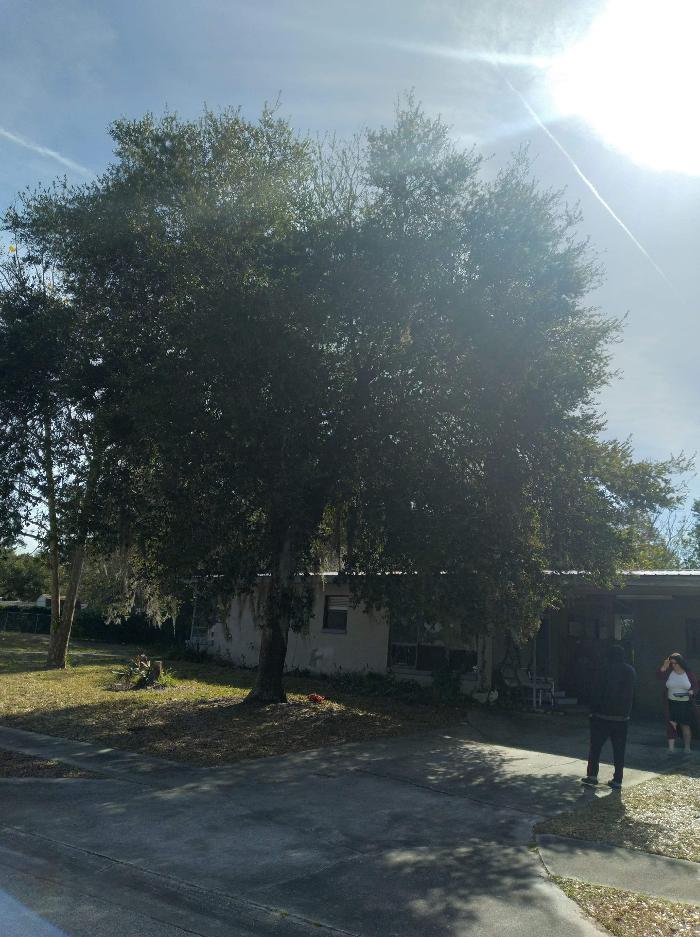 Zack's Quality Lawn And Tree Services, LLC - Titusville, FL