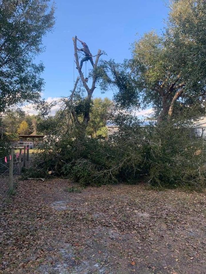 Zack's Quality Lawn And Tree Services, LLC - Titusville, FL