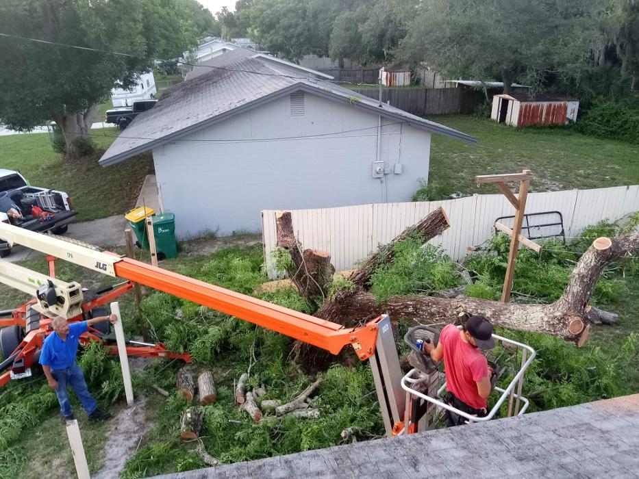 Zack's Quality Lawn And Tree Services, LLC - Titusville, FL