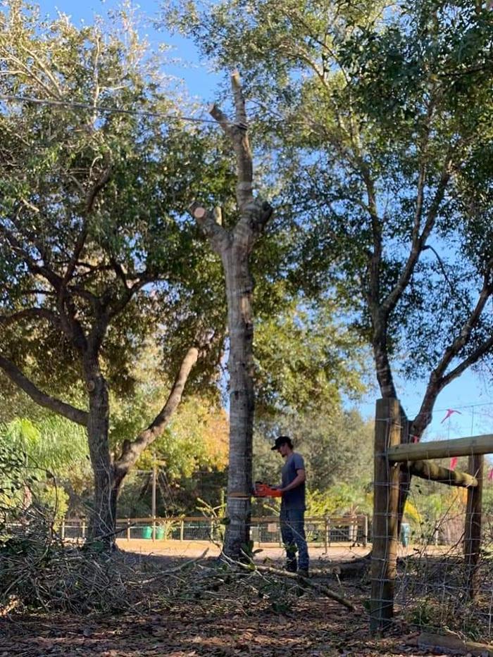 Zack's Quality Lawn And Tree Services, LLC - Titusville, FL