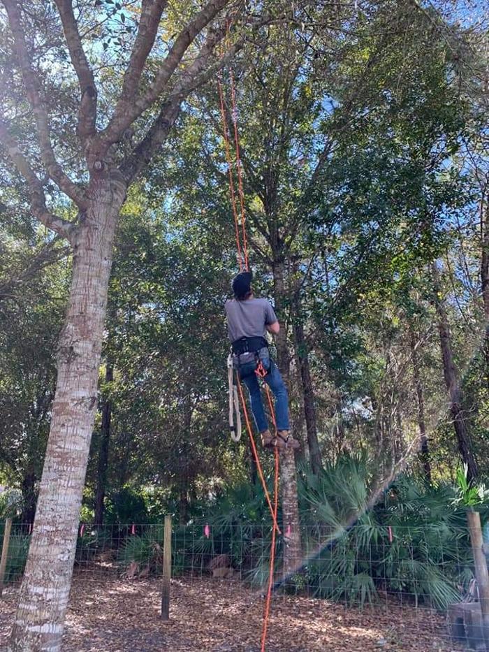 Zack's Quality Lawn And Tree Services, LLC - Titusville, FL