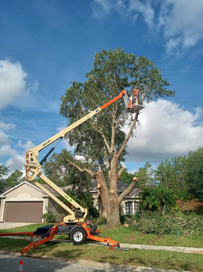 Zack's Quality Lawn And Tree Services, LLC - Titusville, FL