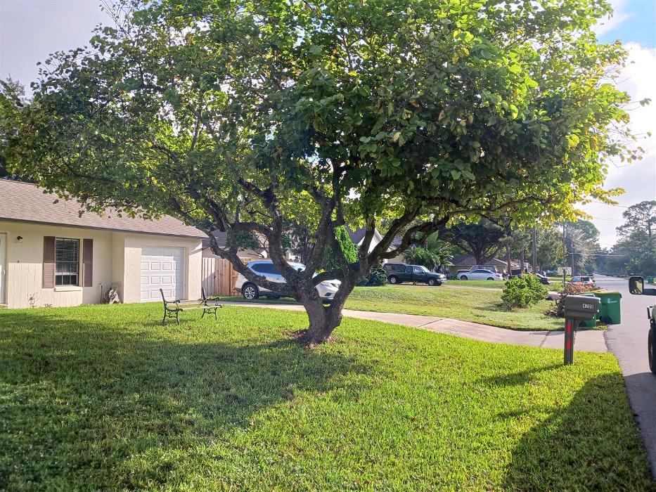 Zack's Quality Lawn And Tree Services, LLC - Titusville, FL