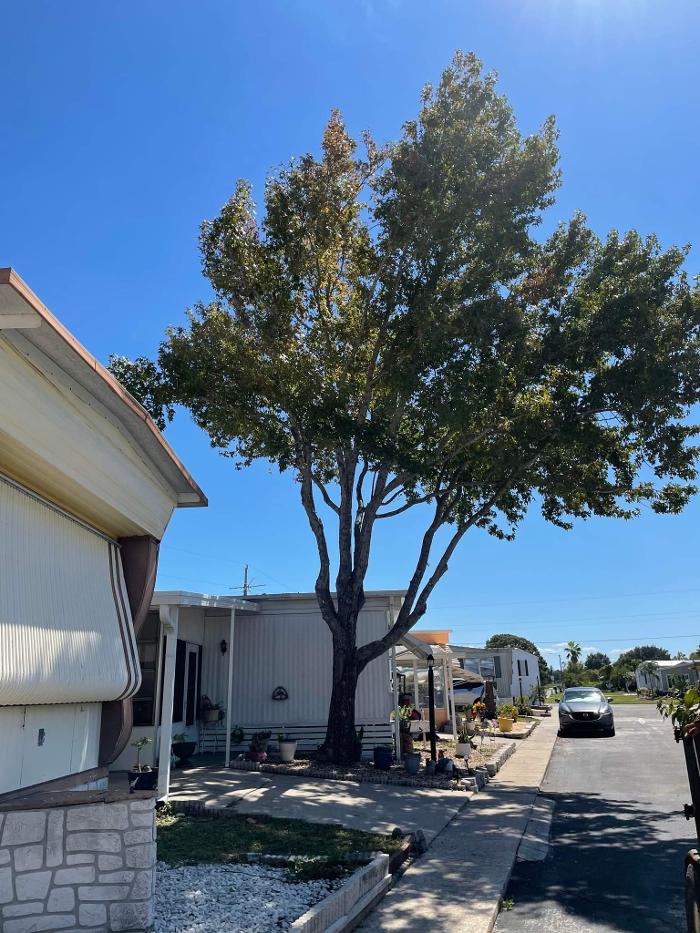 Zack's Quality Lawn And Tree Services, LLC - Titusville, FL