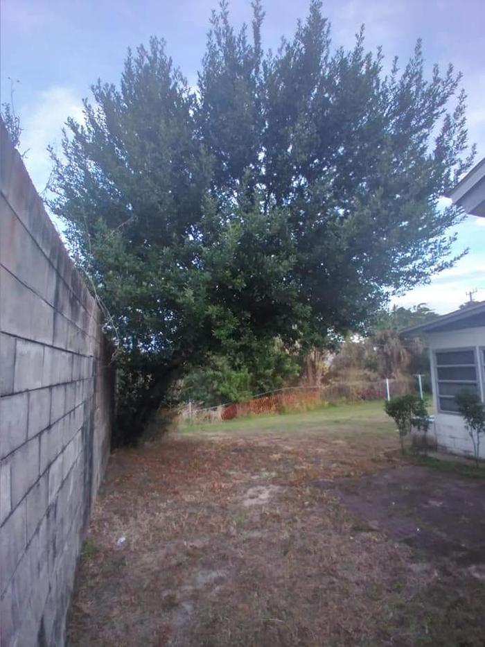 Zack's Quality Lawn And Tree Services, LLC - Titusville, FL