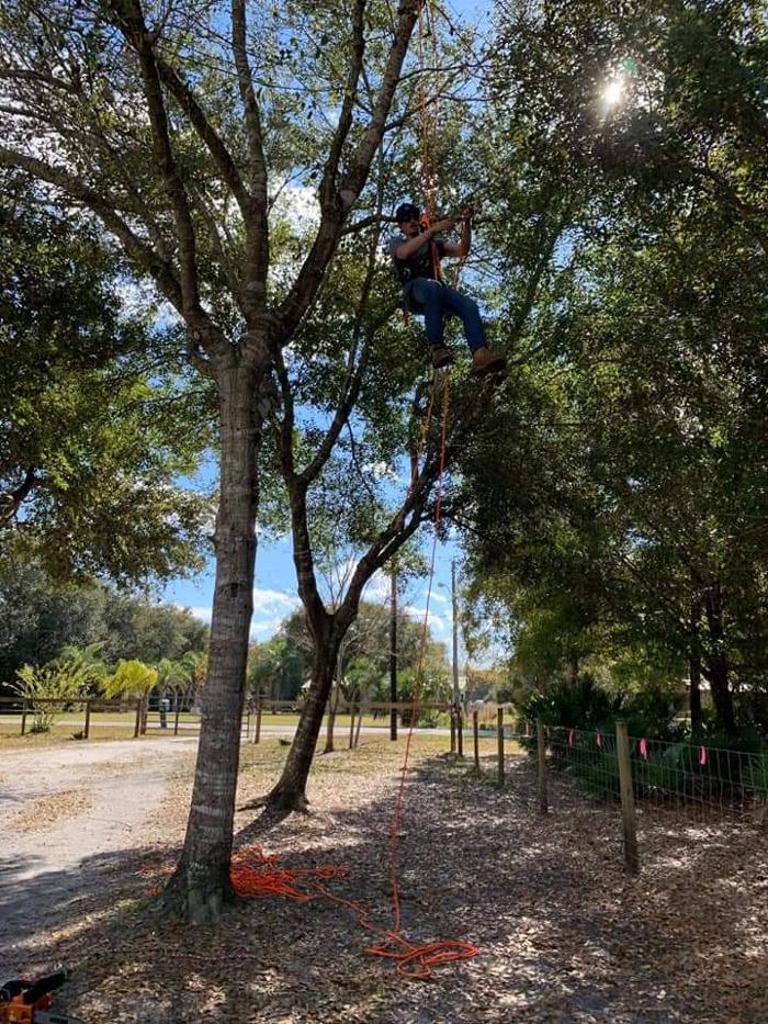 Zack's Quality Lawn And Tree Services, LLC - Titusville, FL