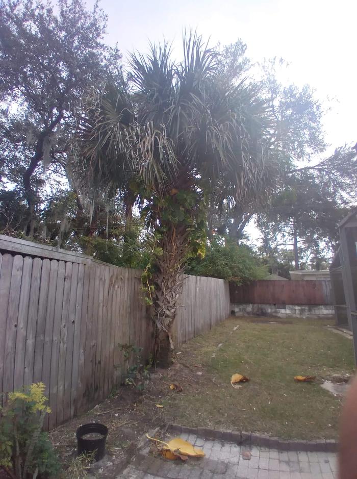 Zack's Quality Lawn And Tree Services, LLC - Titusville, FL