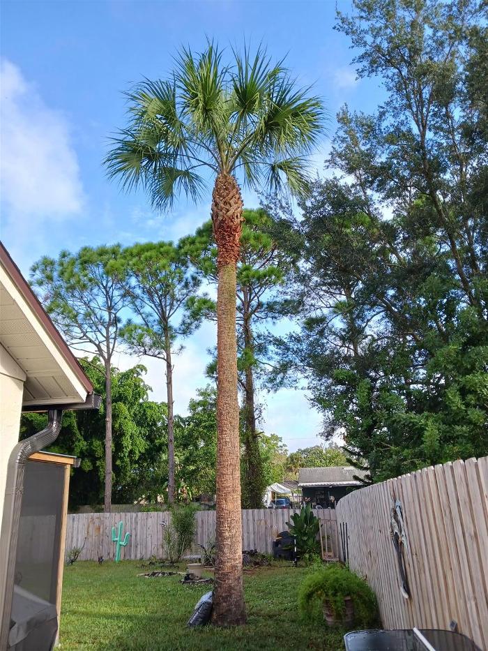 Zack's Quality Lawn And Tree Services, LLC - Titusville, FL