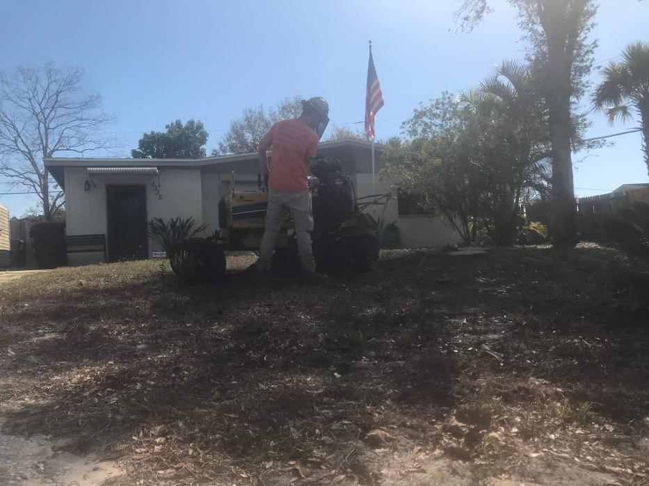Zack's Quality Lawn And Tree Services, LLC - Titusville, FL