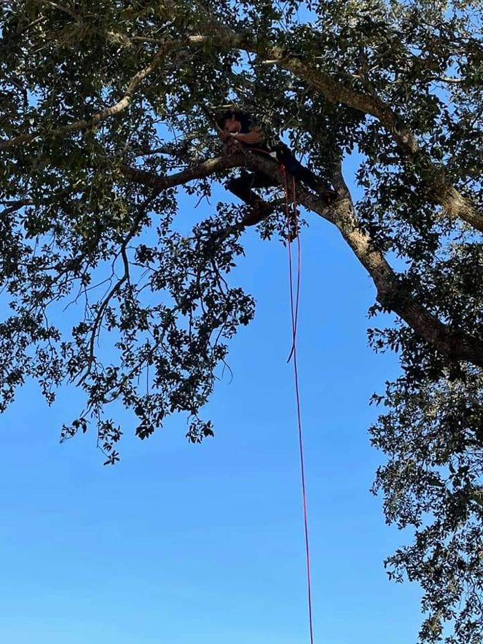 Zack's Quality Lawn And Tree Services, LLC - Titusville, FL