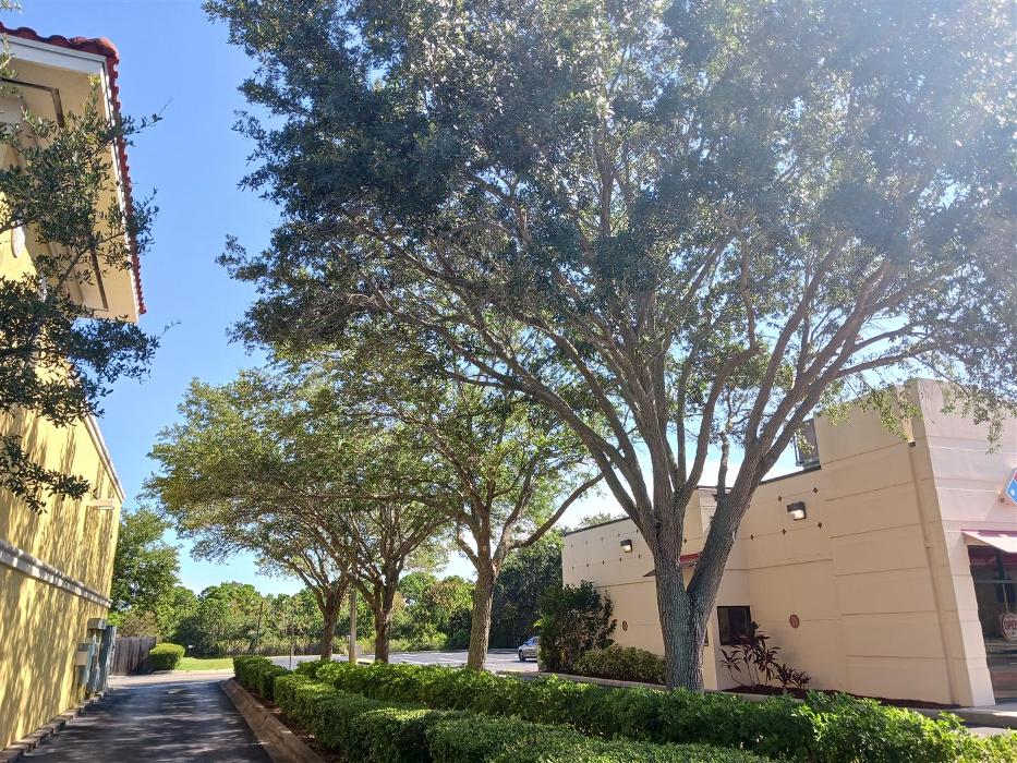 Zack's Quality Lawn And Tree Services, LLC - Titusville, FL