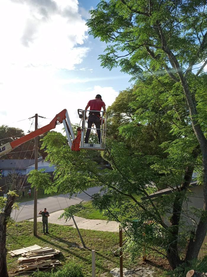 Zack's Quality Lawn And Tree Services, LLC - Titusville, FL