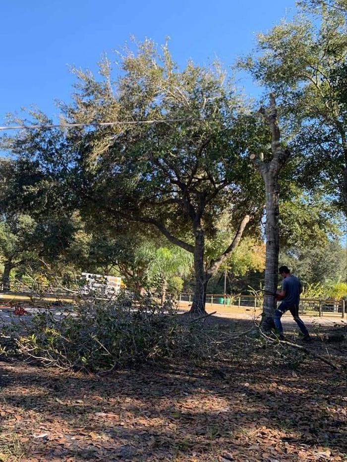Zack's Quality Lawn And Tree Services, LLC - Titusville, FL