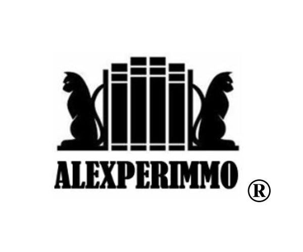 Alexperimmo Expert