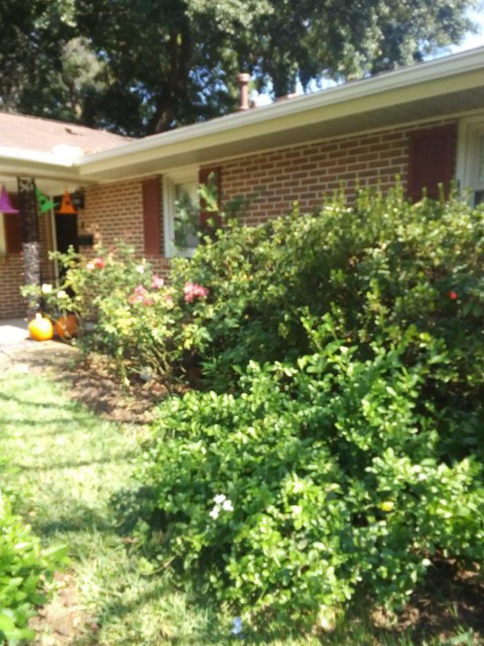 Pitts Home Renovation - Montgomery, AL