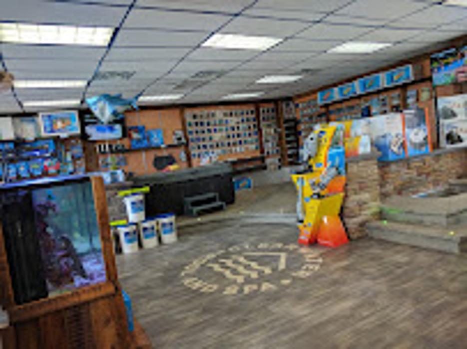 Clearwater Pool & Spa - Bel Air, MD