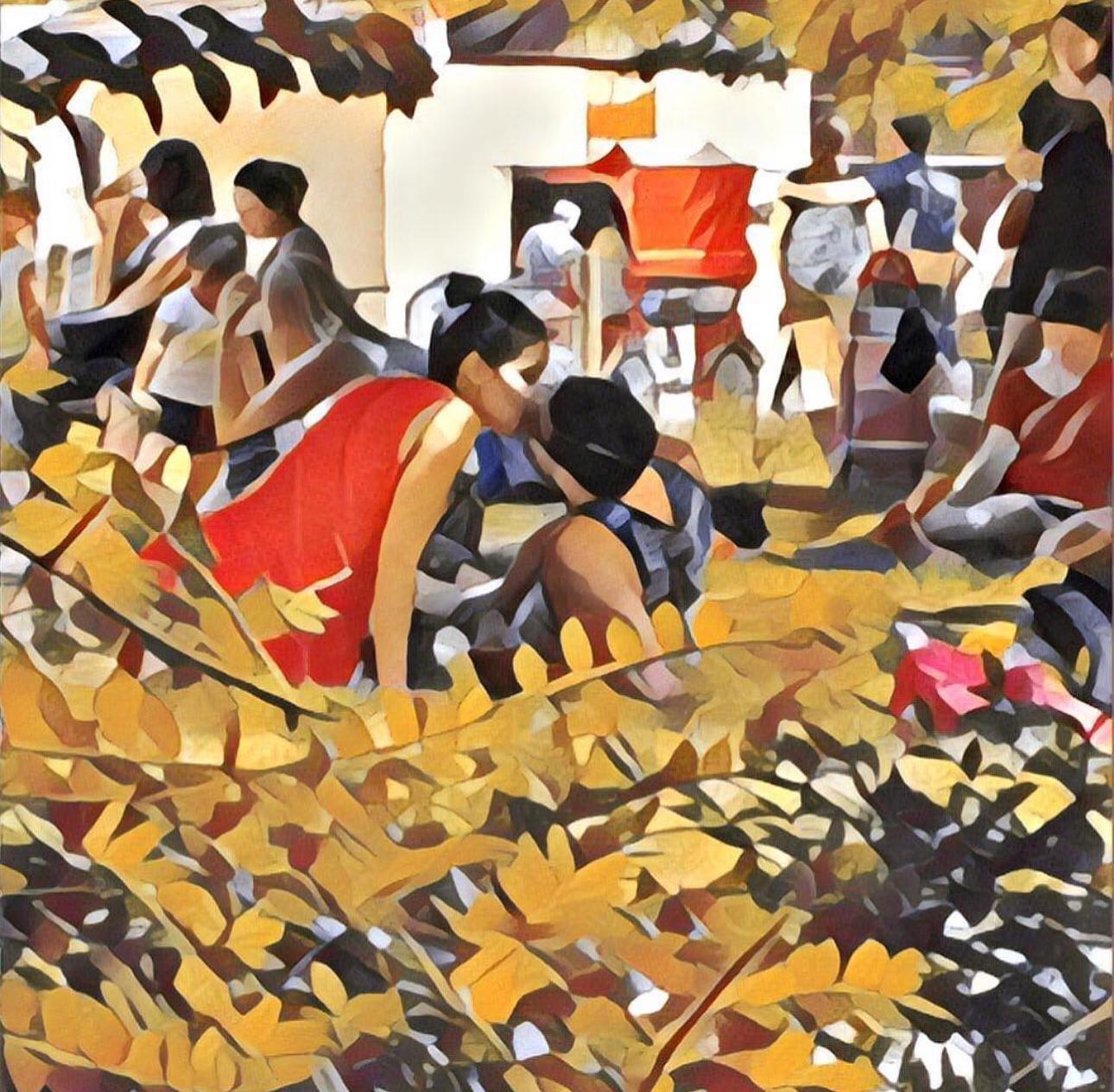 galerie image