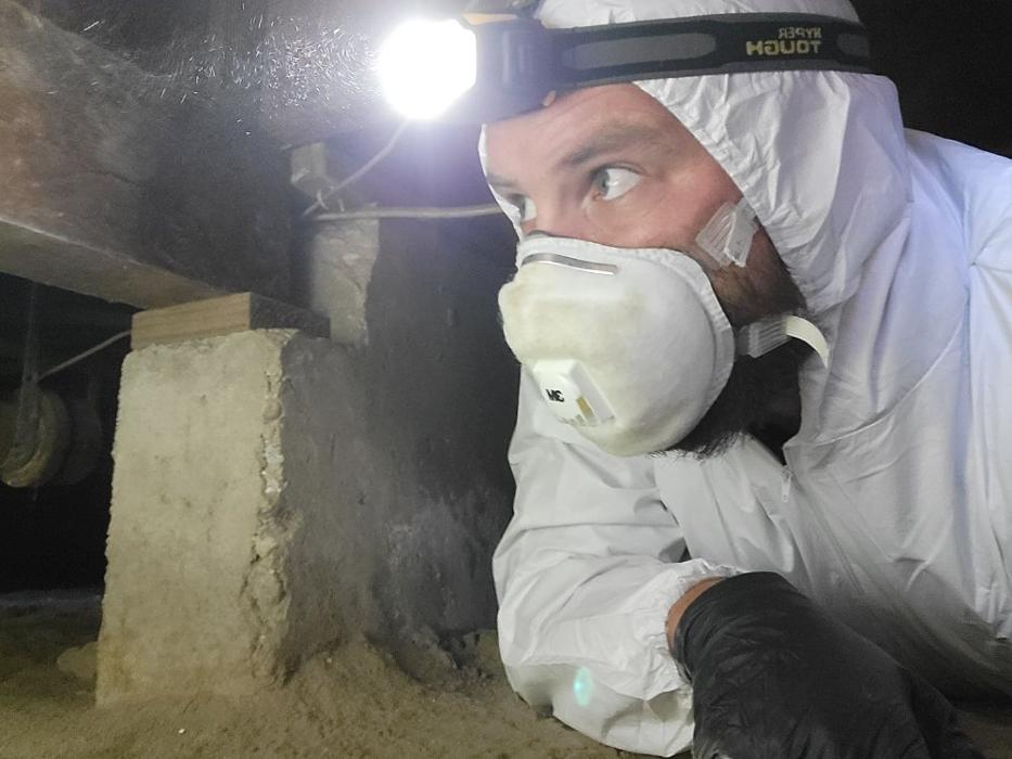 Pro Inspection - Cedarpines Park, CA