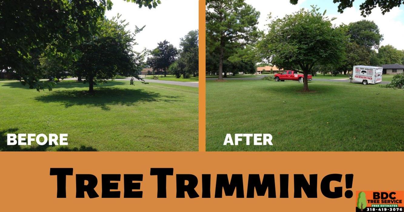 BDC Tree Service - Pineville, LA