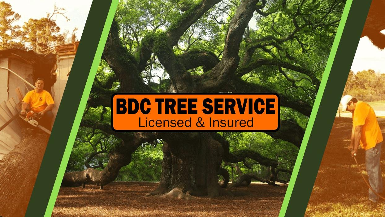 BDC Tree Service - Pineville, LA