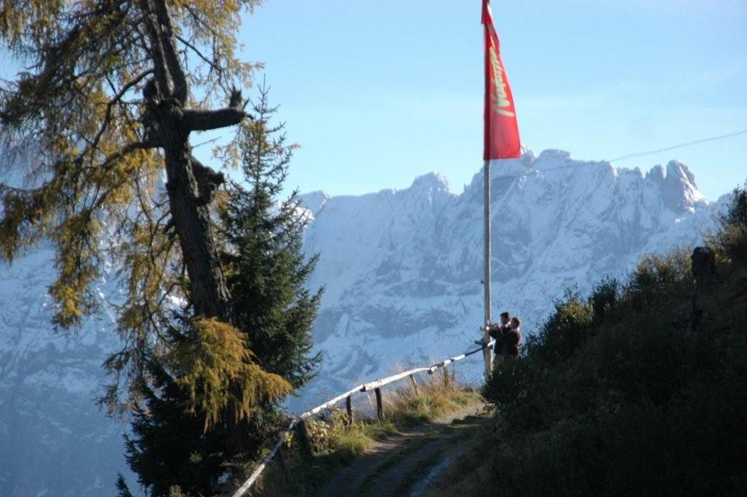 Naturfreunde-Hütte, Faschingalm in Nußdorf-Debant