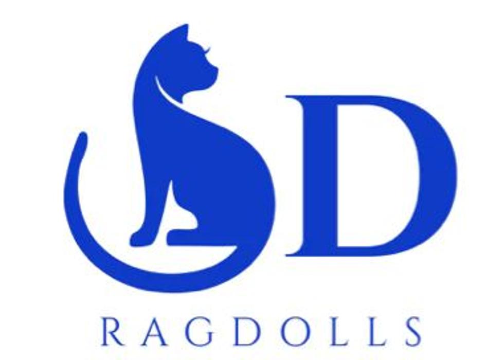 Sdragdolls - Chula Vista, CA