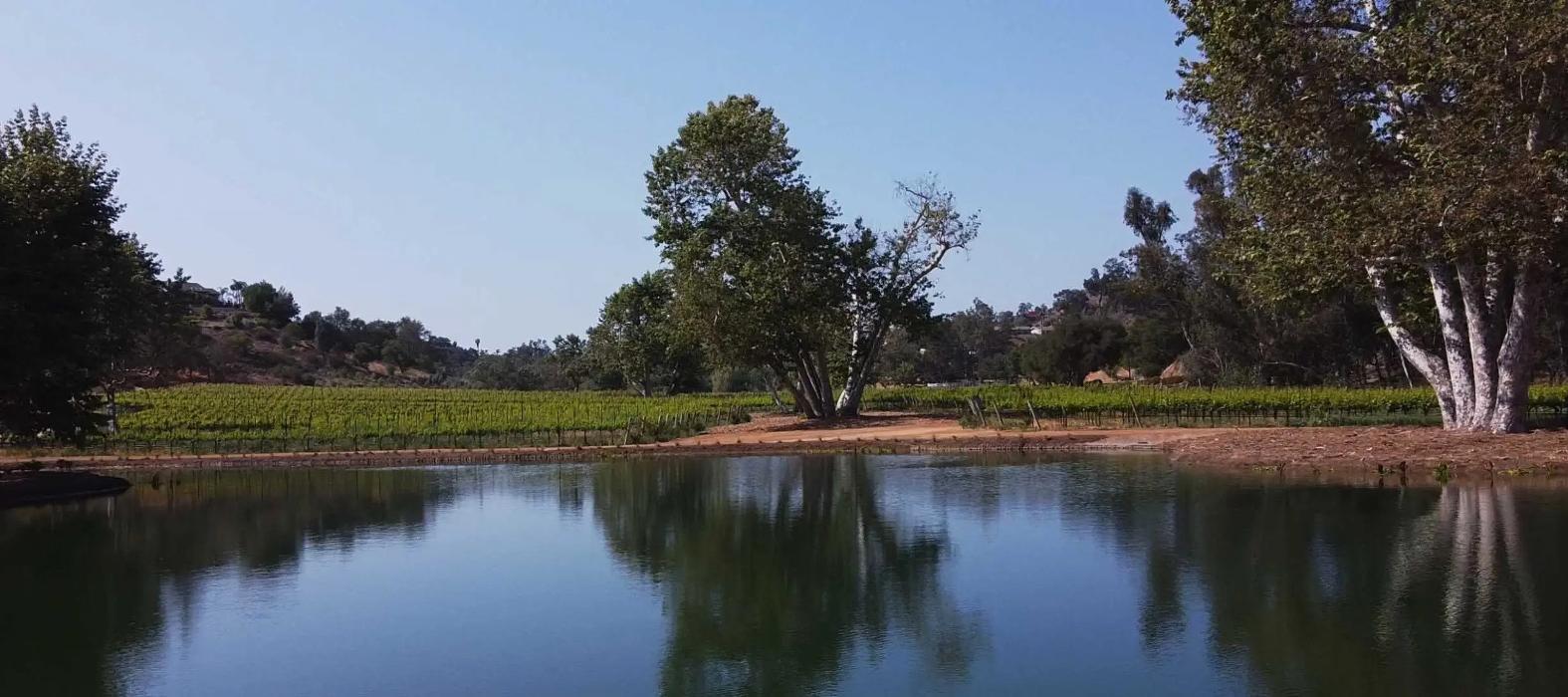 Monserate Winery - Fallbrook, CA