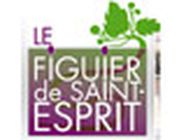 Le Figuier de Saint Esprit